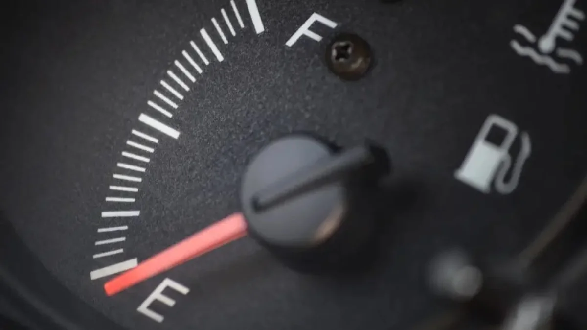 Фото: depositphotos.com