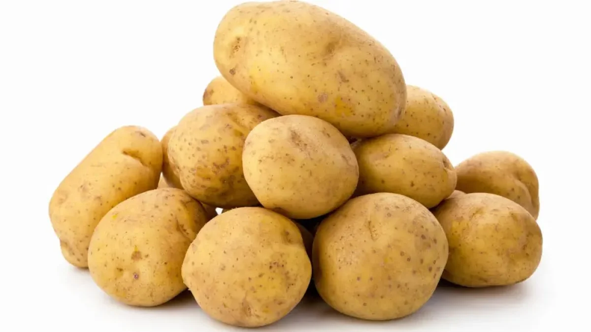 Фото: depositphotos.com