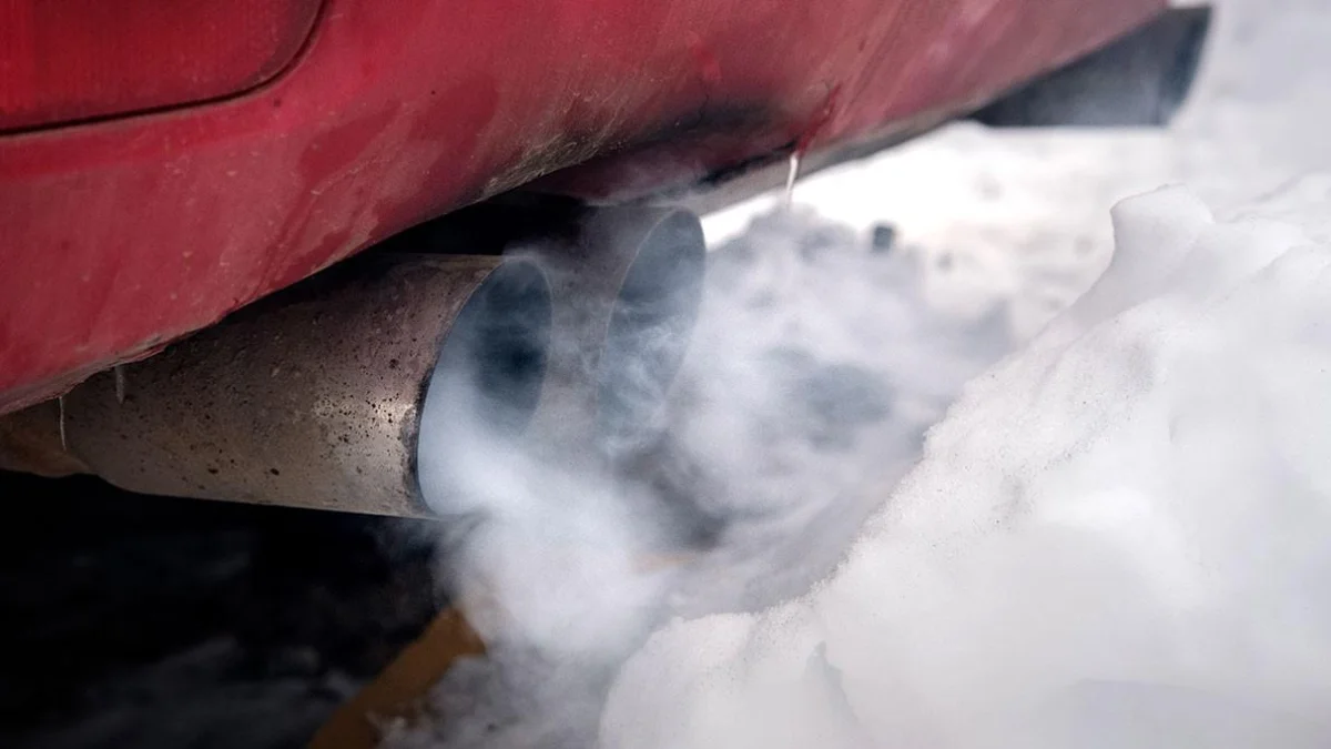 Фото: shutterstock.com/Ambartsumian Valery