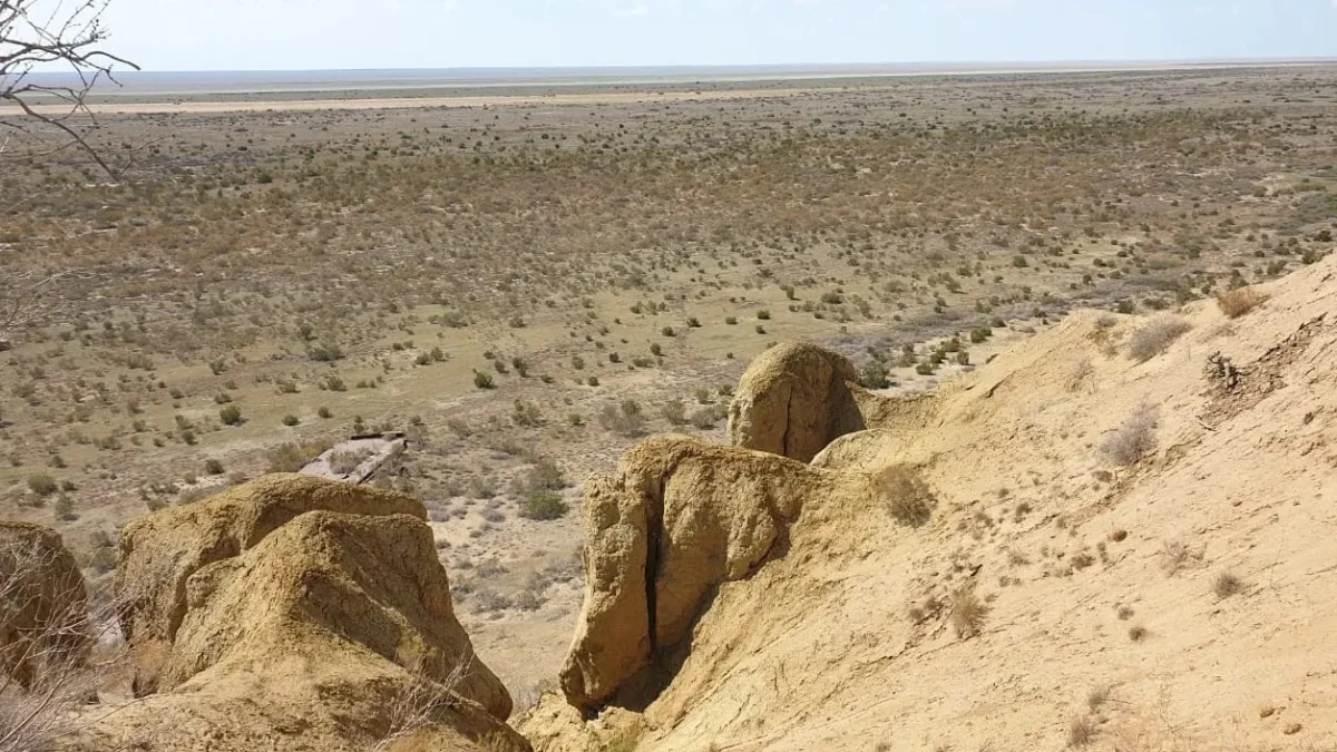 Как озеленить Приаралье и наполнить Аральское море водой, фото - Новости Zakon.kz от 31.01.2025 12:41 Фото предоставила пресс-служба акимата Аральского района