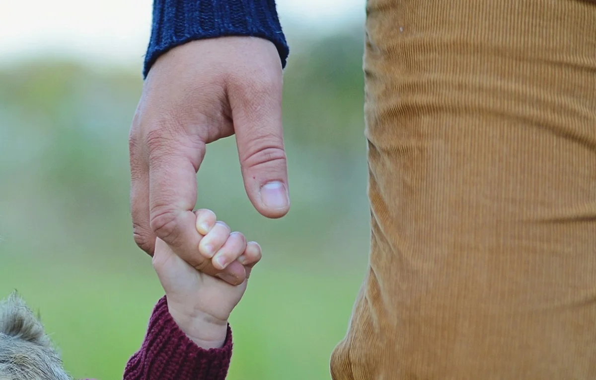 Фото с сайта pixabay.com