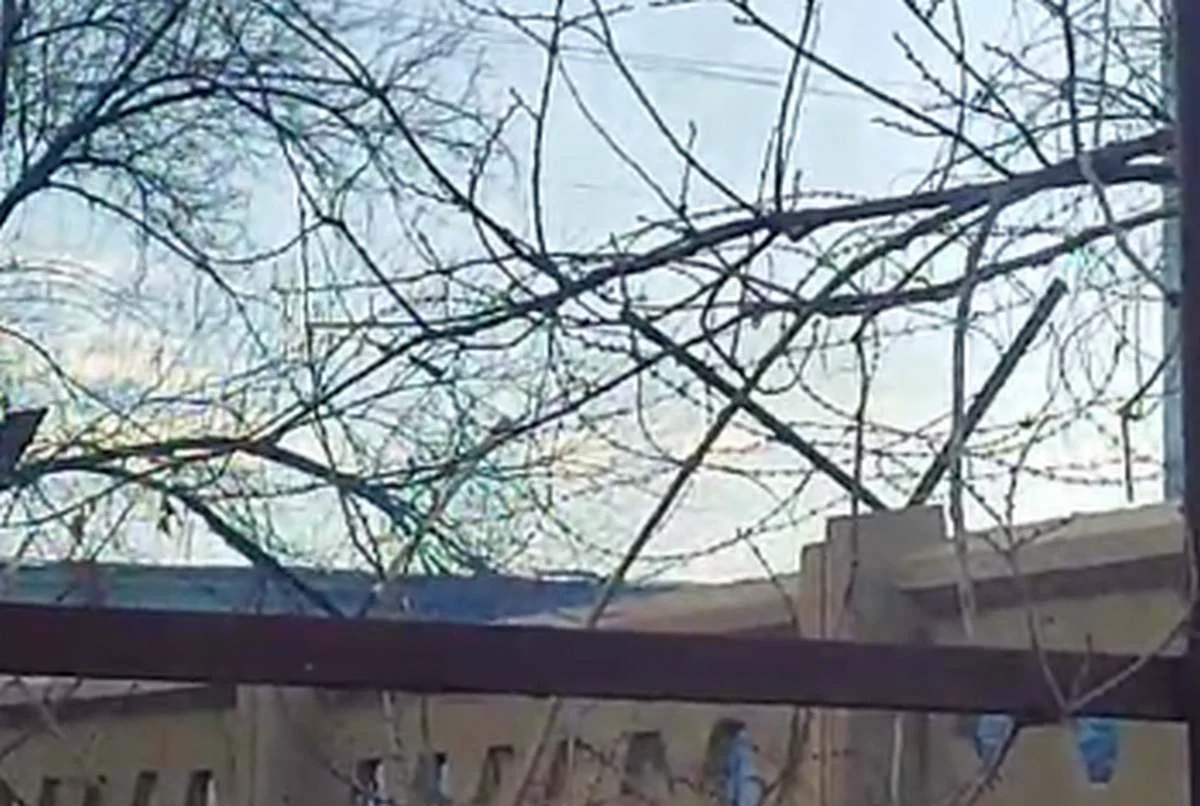 Фото: кадр видео