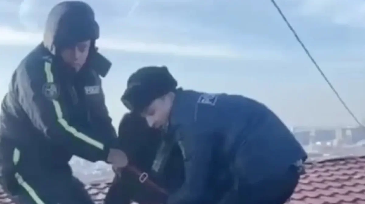 Фото: кадр из видео