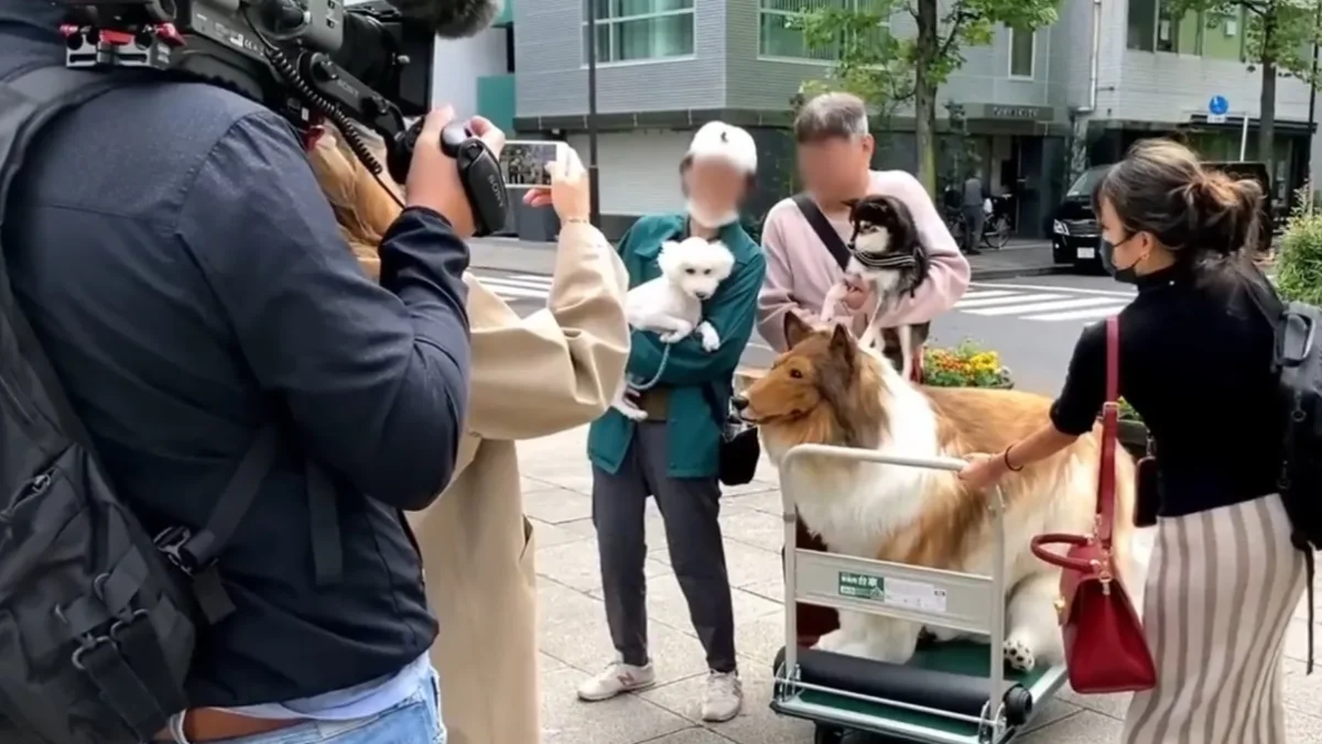 Фото: кадр из видео