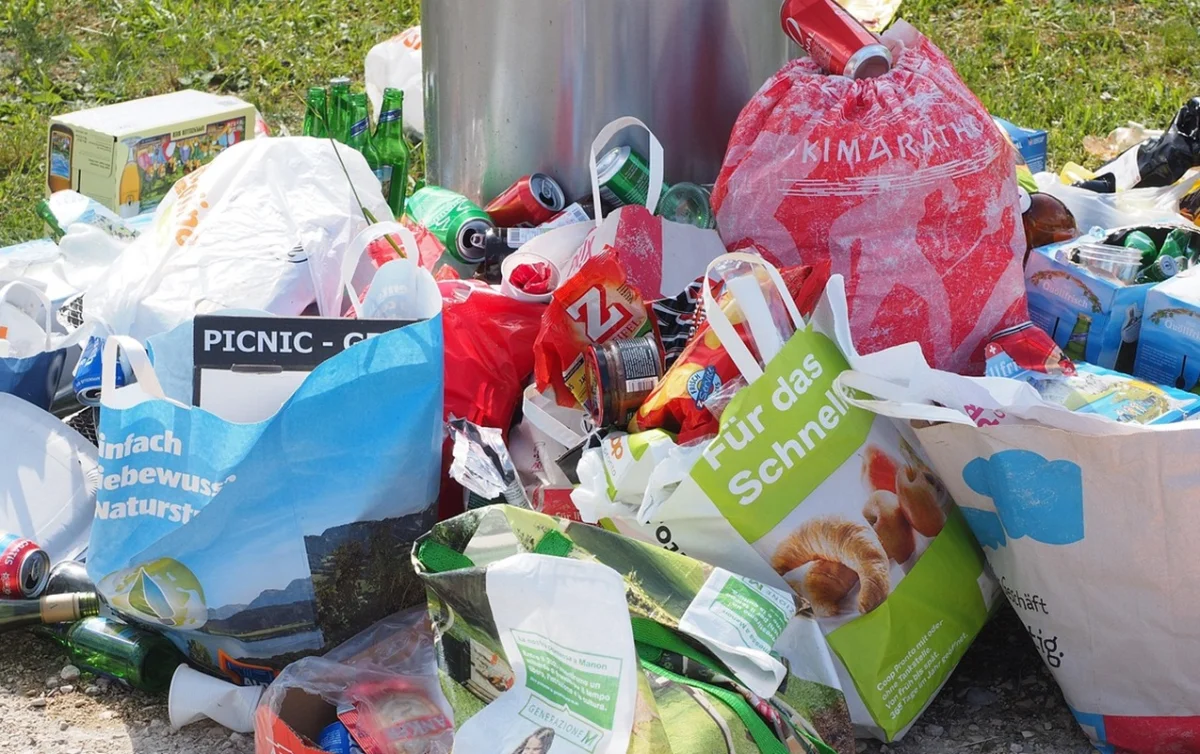 фото с сайта pixabay.com