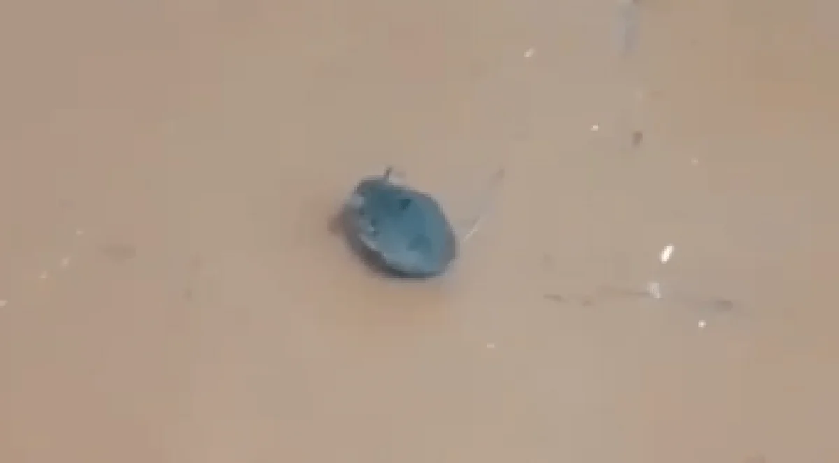 Кадр из видео