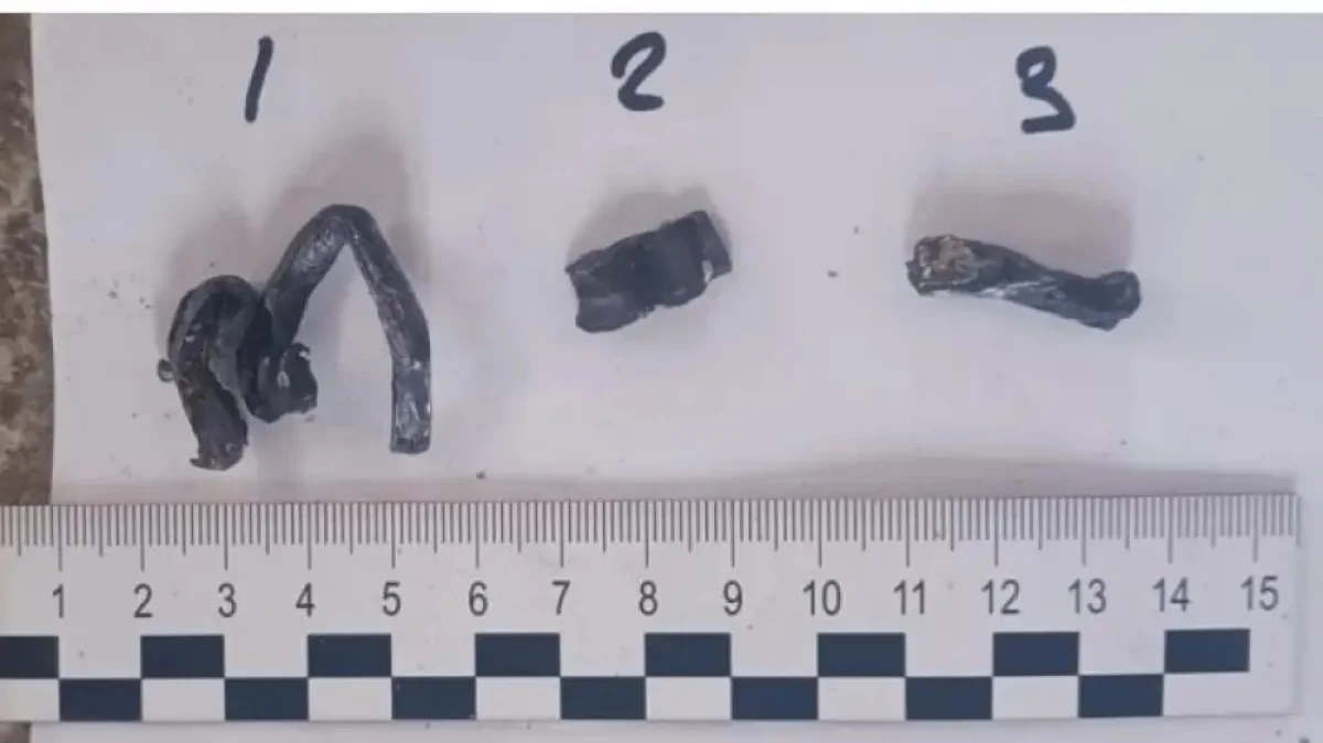 Скрин из предварительного отчета МТ РК