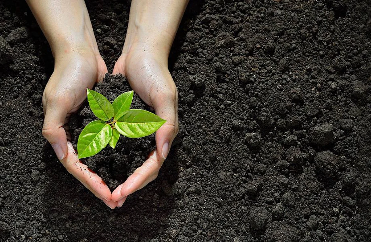 Фото с сайта travelask.ru