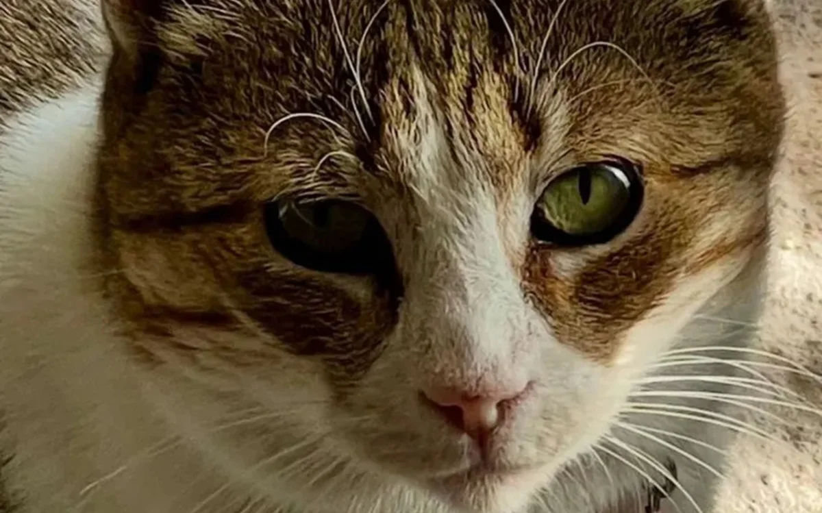 фото Александра Ключника  с сайта zakon.kz