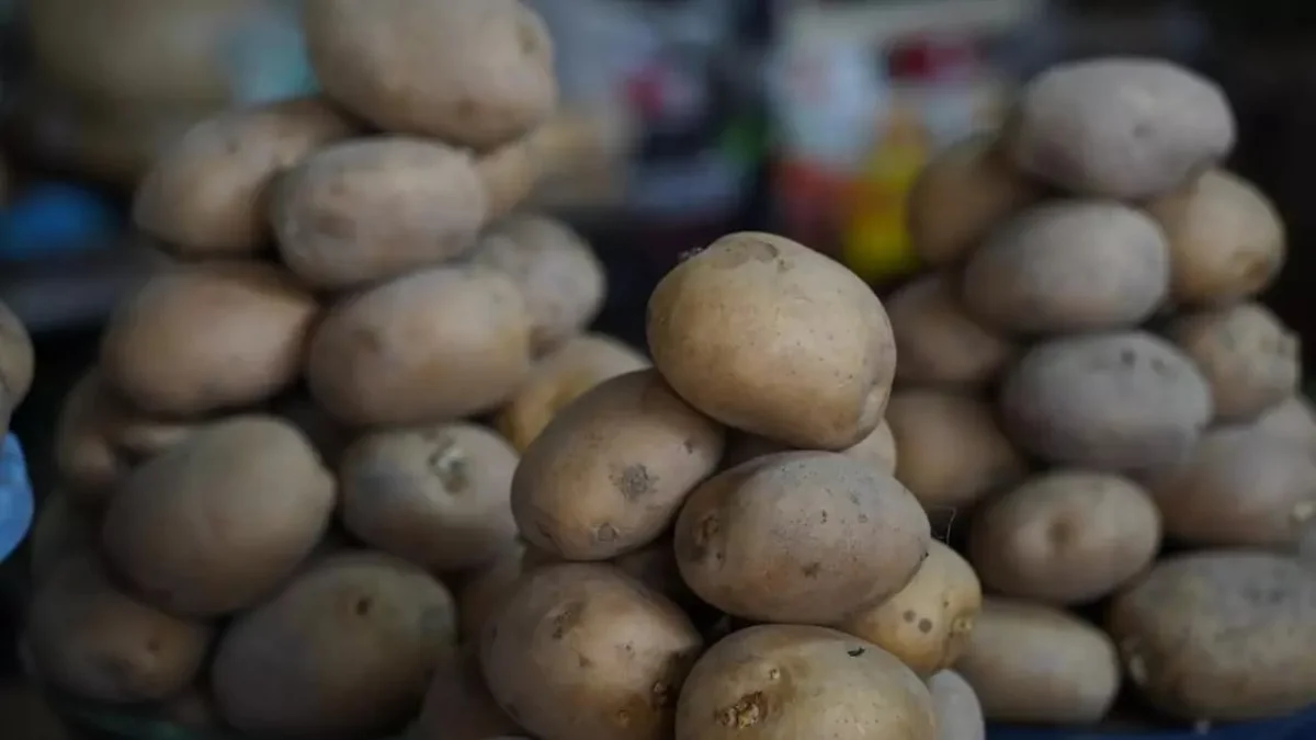 Иллюстративное фото: NUR.KZ / Владимир Третьяков