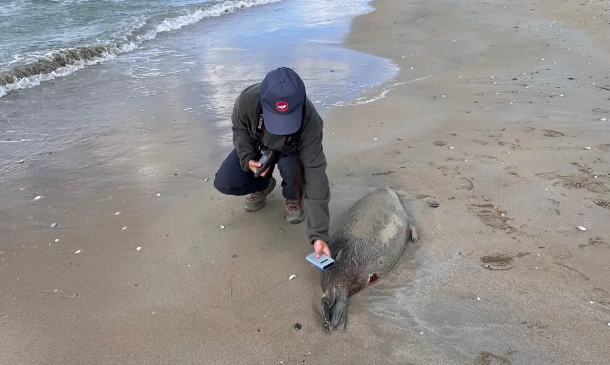 Фото инспекции рыбного хозяйства региона