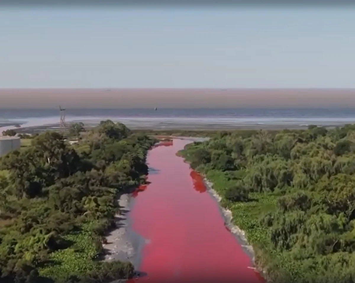 Фото: кадр из видео