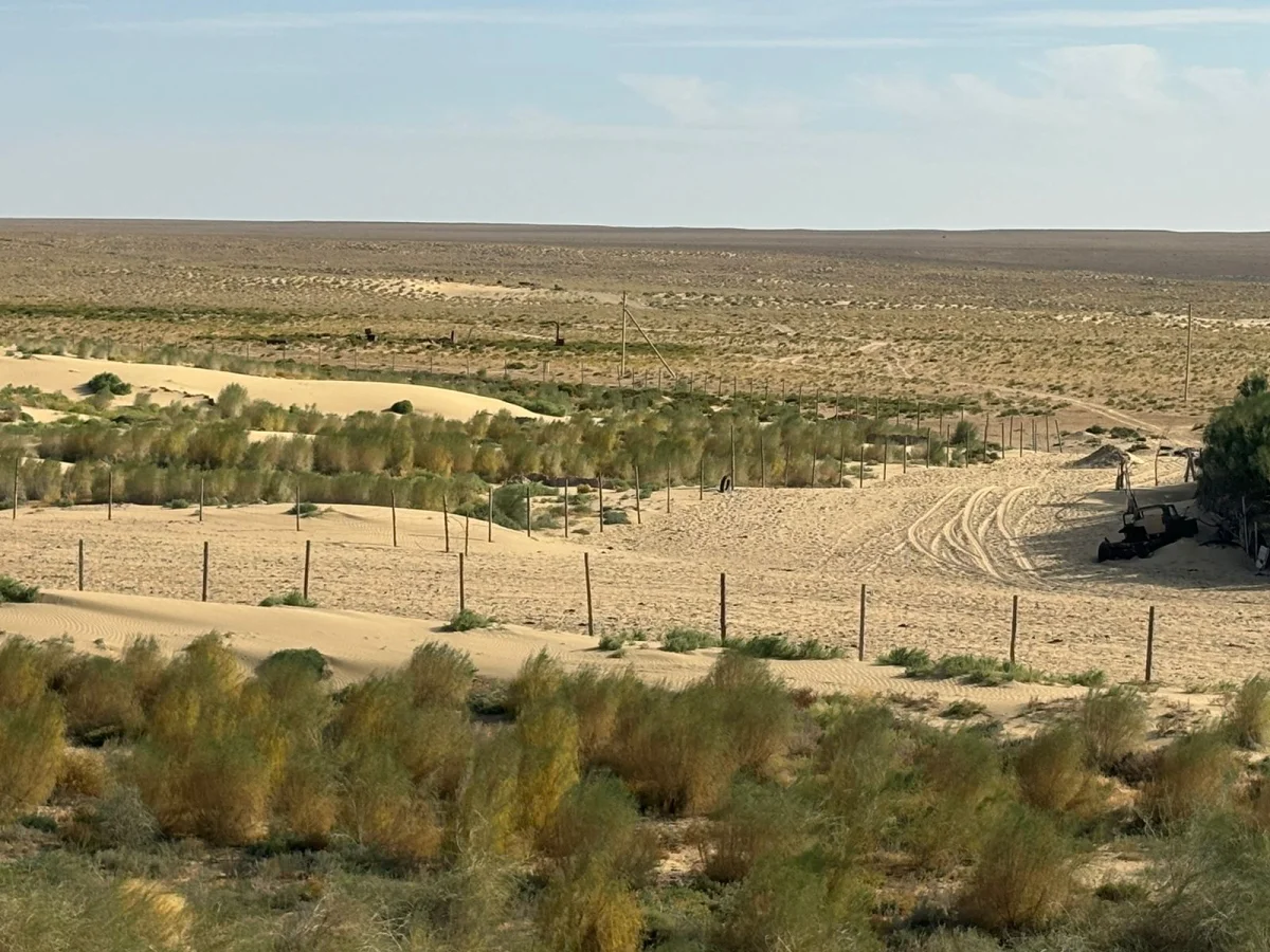 Пески. Фото: ЦОК