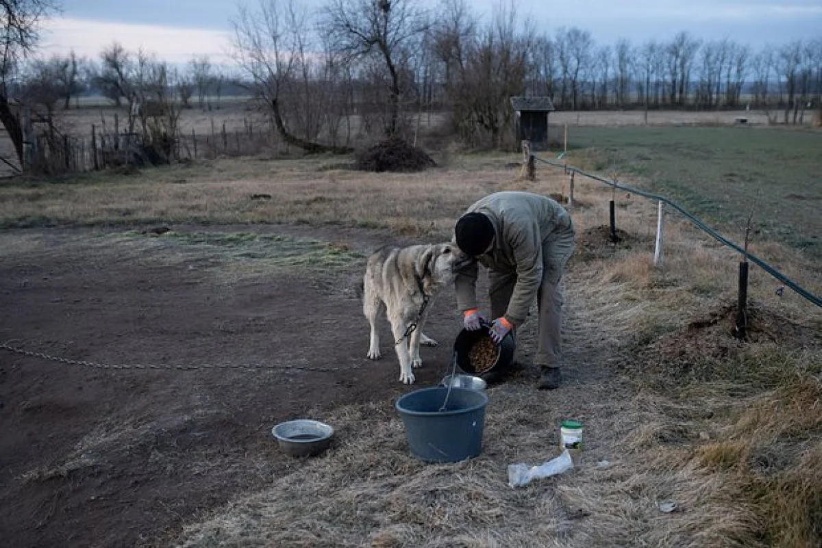 Фото: Marton Monus / Reuters