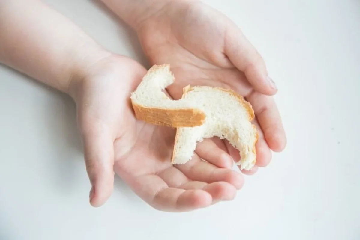 Фото: © Белновости