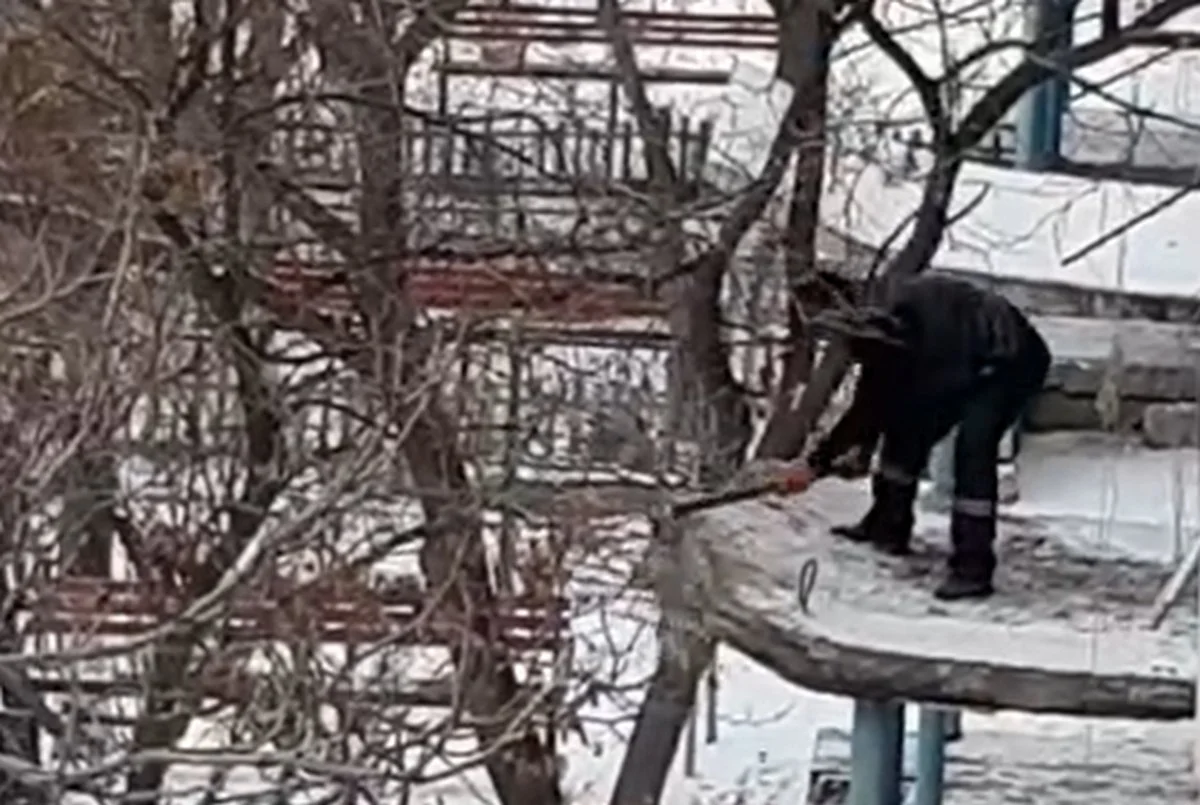 Фото: кадр видео