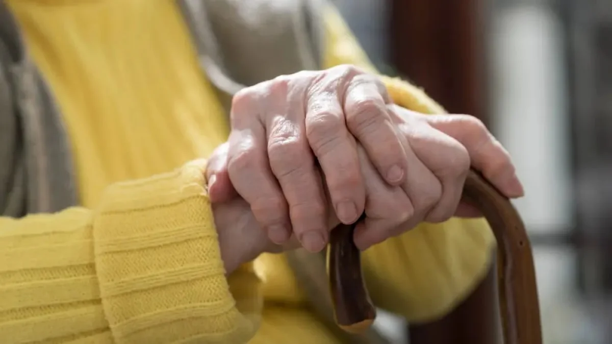 Фото: depositphotos.com