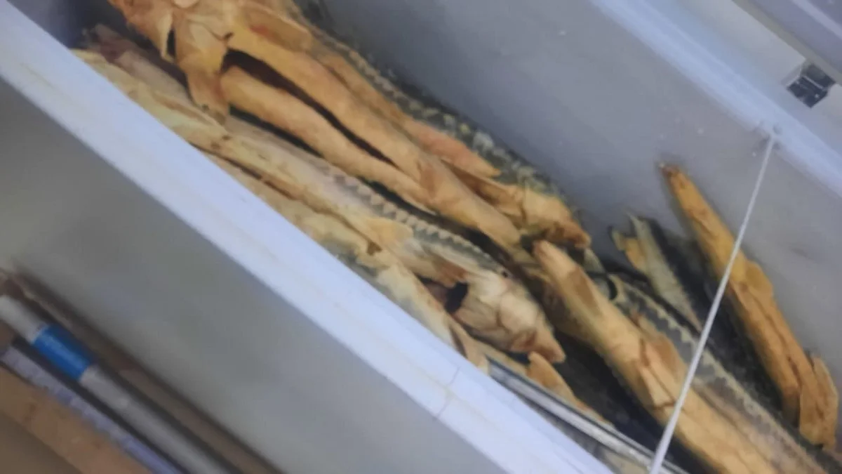 Фото пресс-службы ведомства