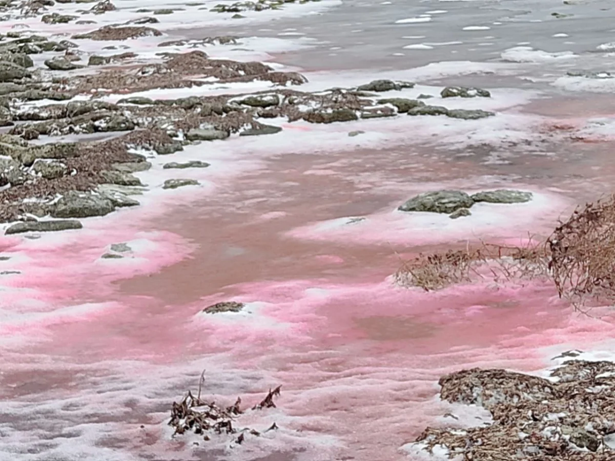 Берег Каспия. Фото жителя Актау