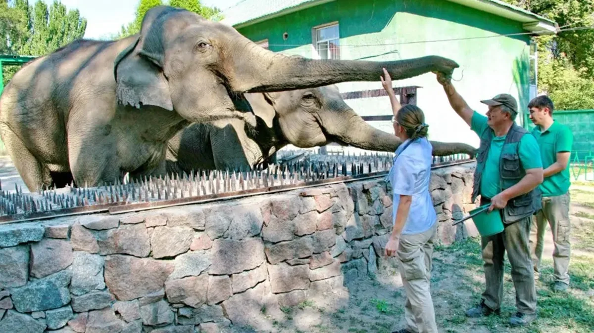 Фото: facebook/ZOOAlmaty