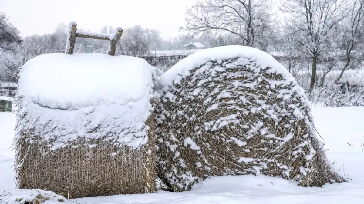 Фото: depositphotos.com