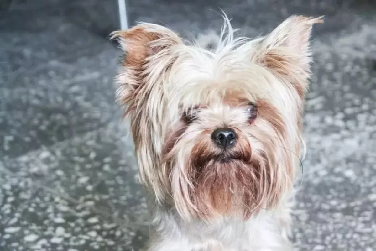 Фото: © Белновости