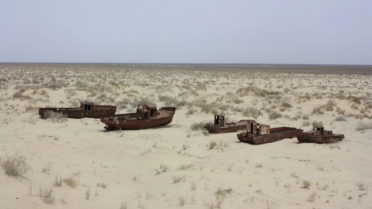 Фото: flickr/Arian Zwegers