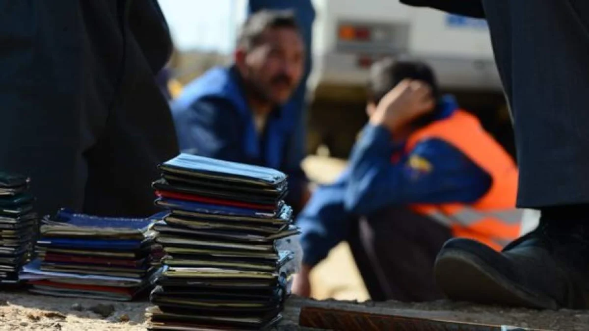 Фото: ИЗВЕСТИЯ/Александр Матвеев