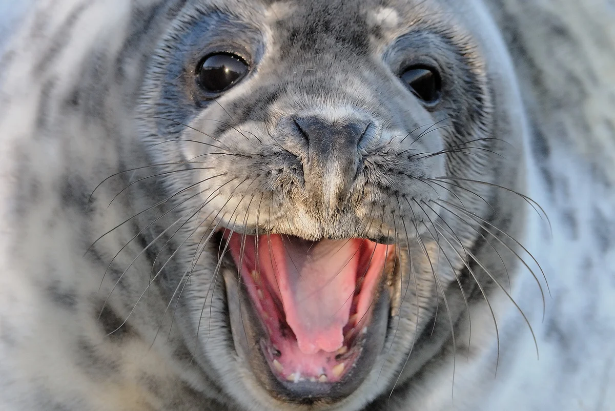 Фото: naked-science.ru