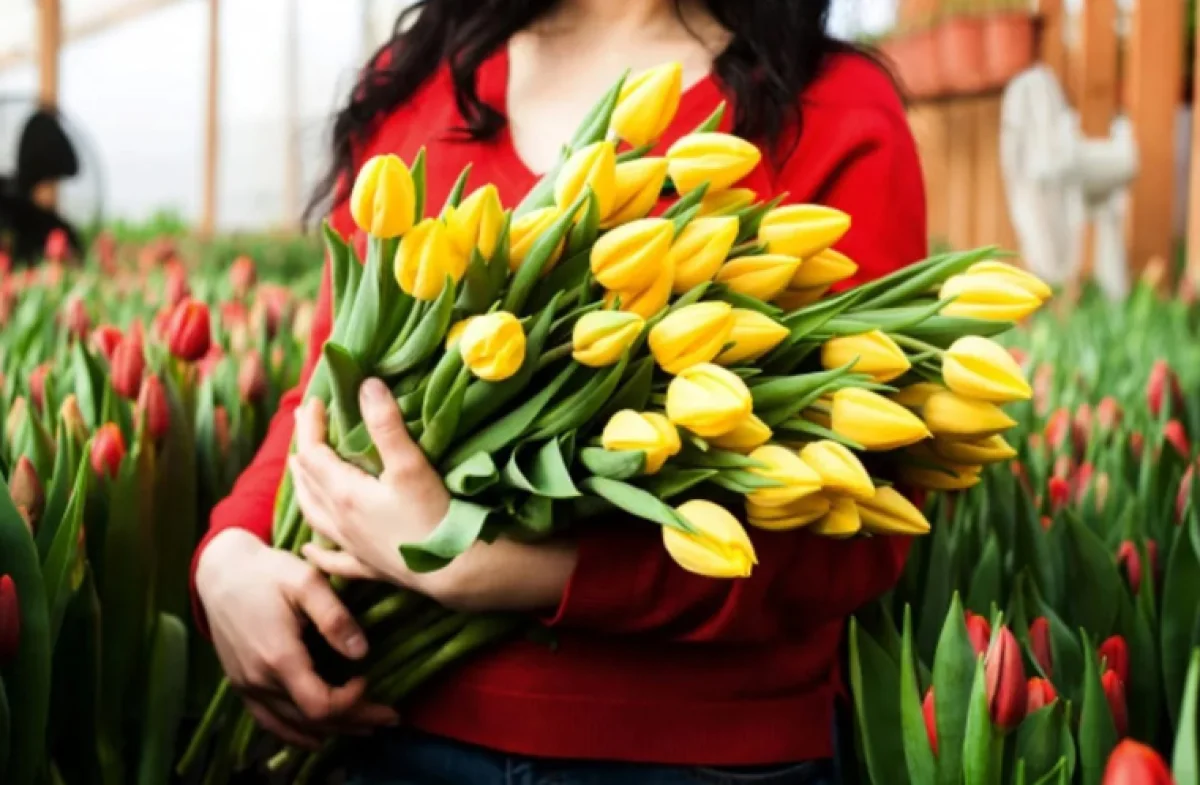 Фото: brest.1prof.by