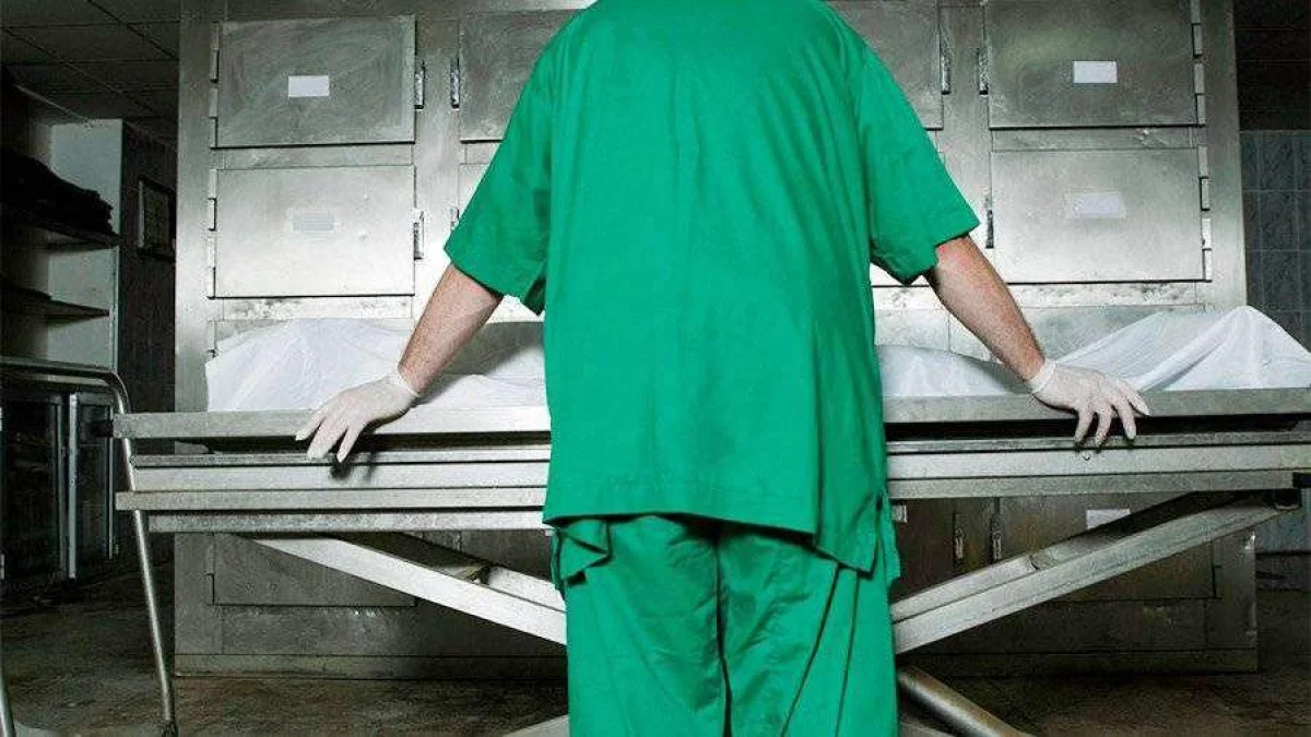 Фото: Global Look Press/Medicimage/Stewart Goldstein