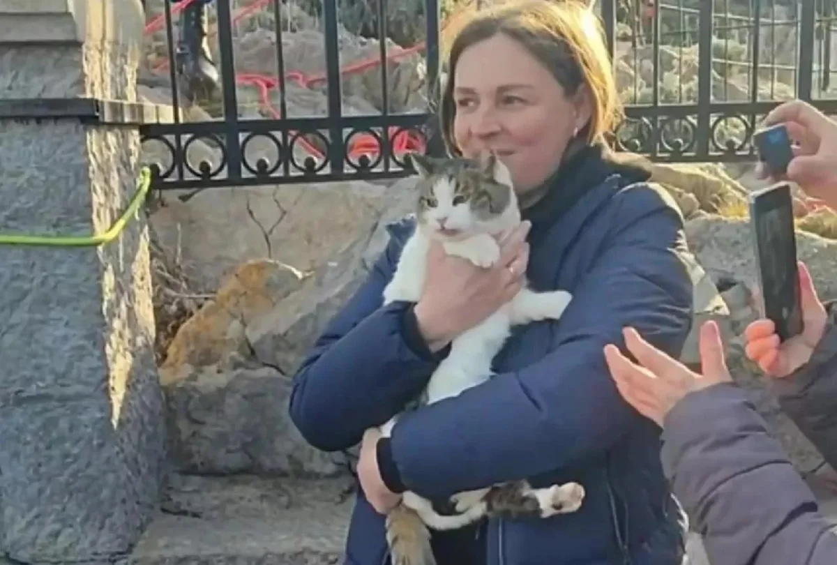 Фото: скриншот видео соцсети