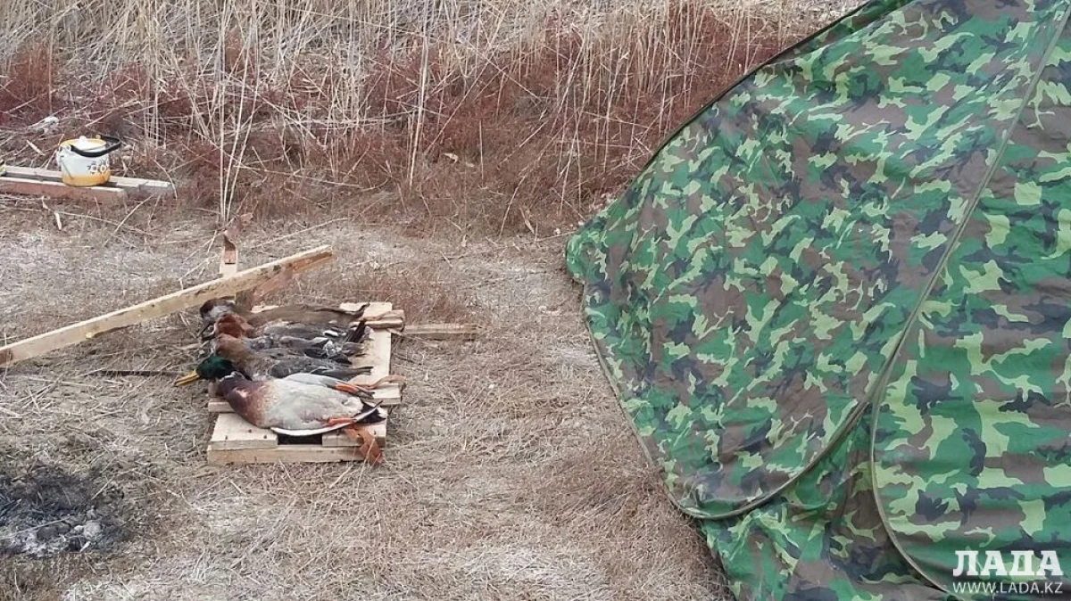 Трофей мангситауских охотников. Фото из архива Lada.kz