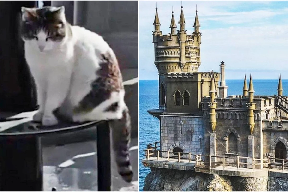 фото с сайта dzen.ru