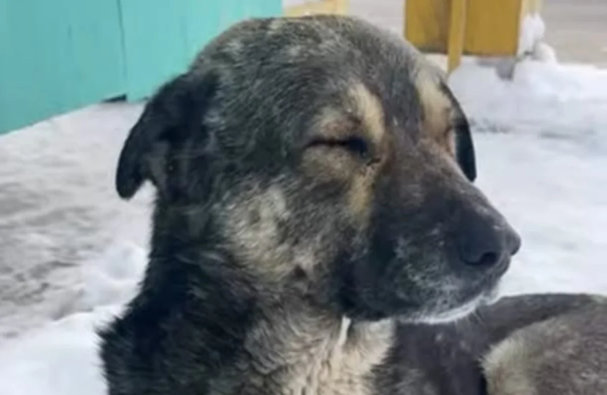 стоп-кадр из видео