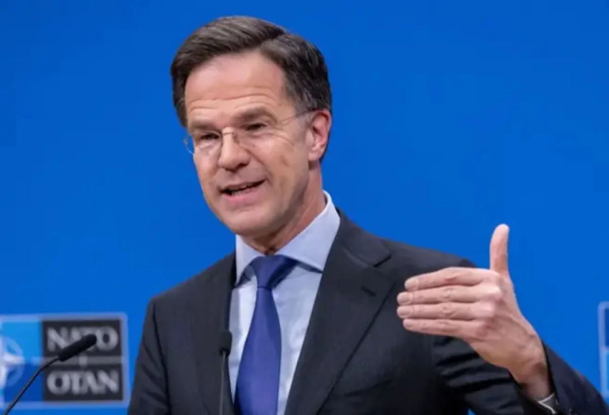 Фото: online47.ru