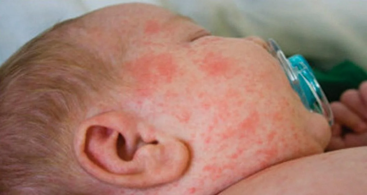 _фото с сайта rus.err.ee