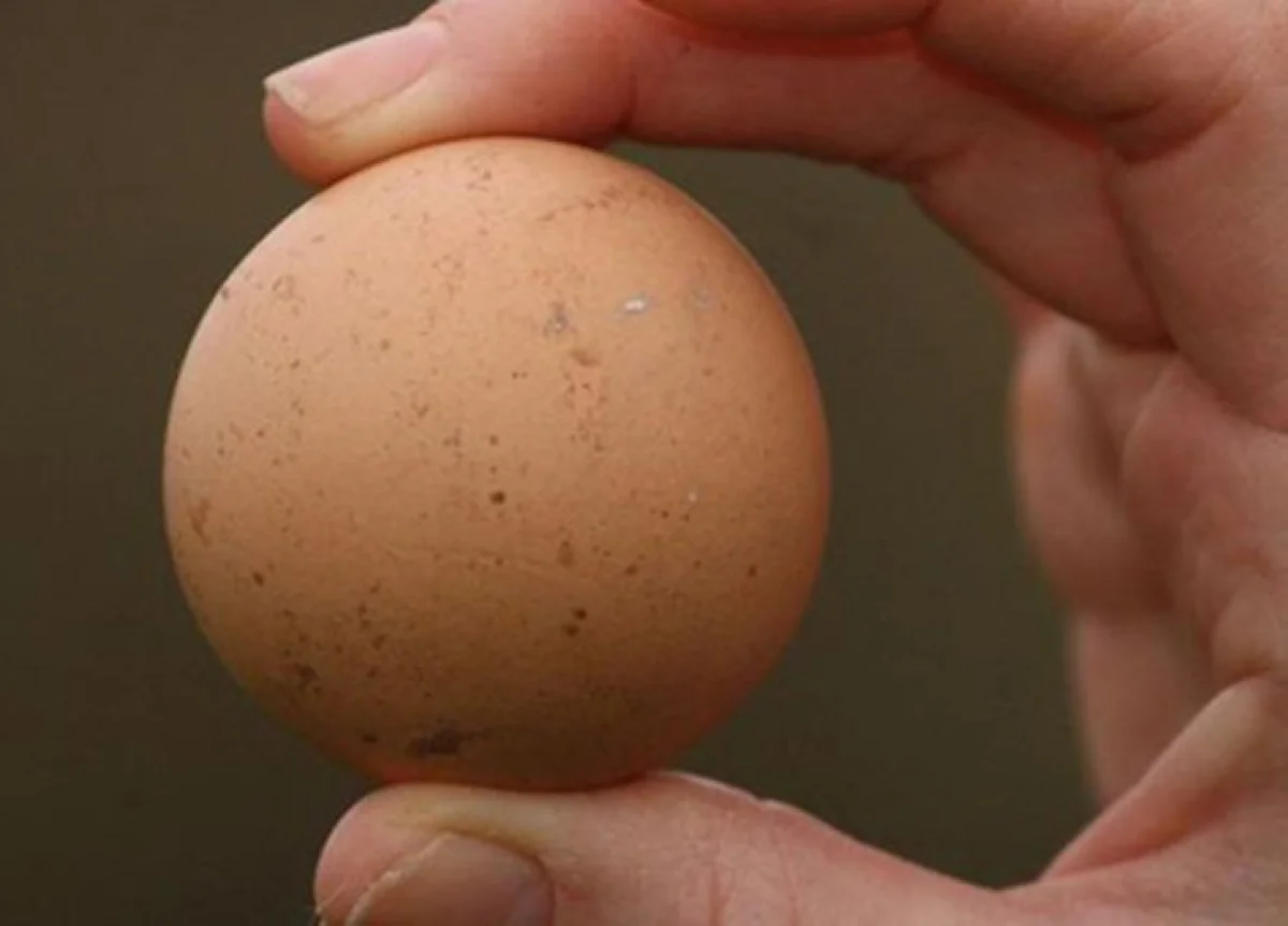 Фото: prostoest.ru