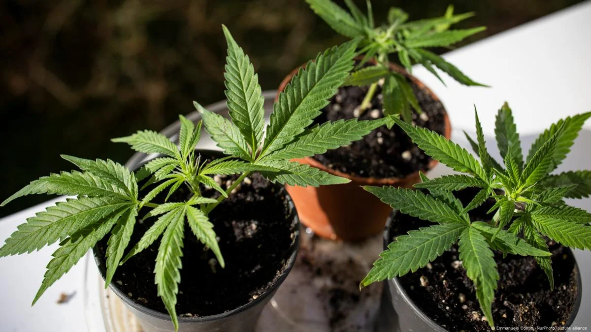 Иллюстративное фото: Emmanuele Contini/NurPhoto/picture alliance