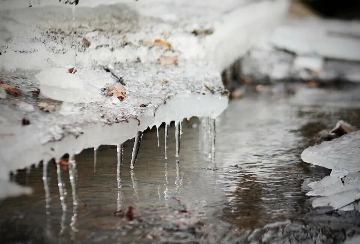 Фото с сайта stihi.ru