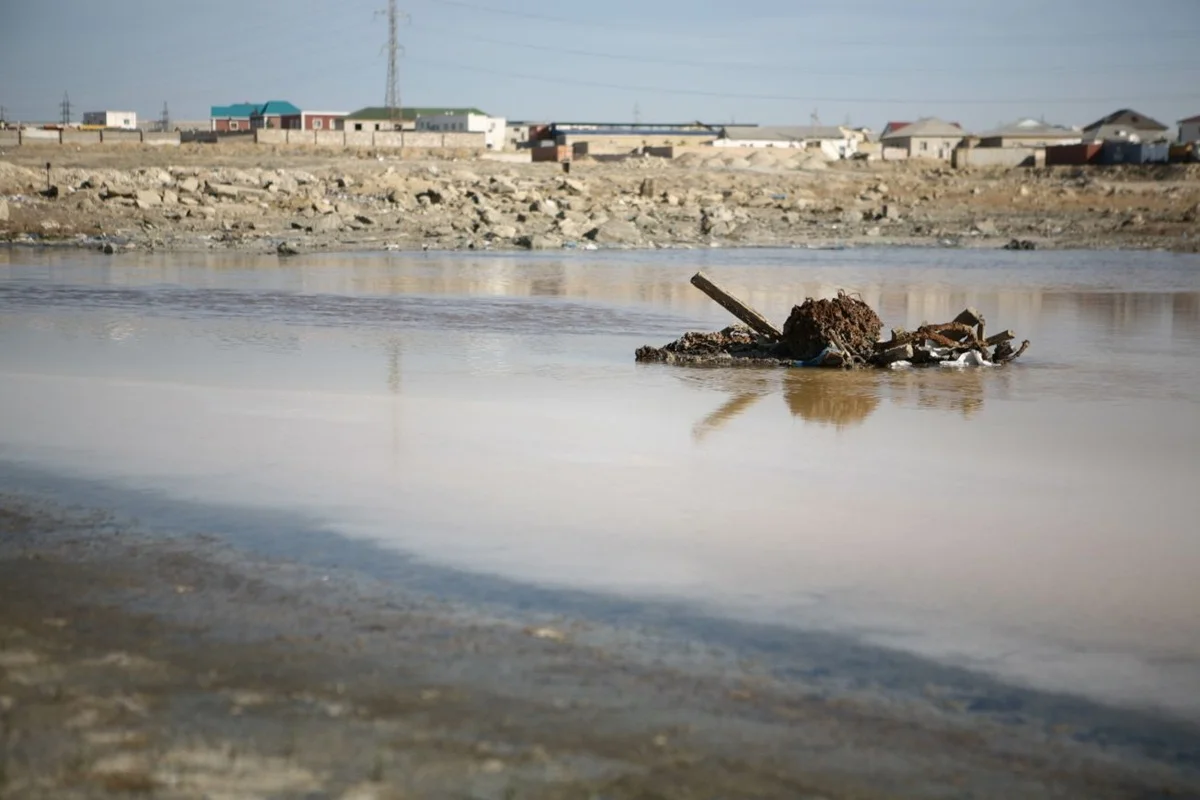 Фото: arnika.org