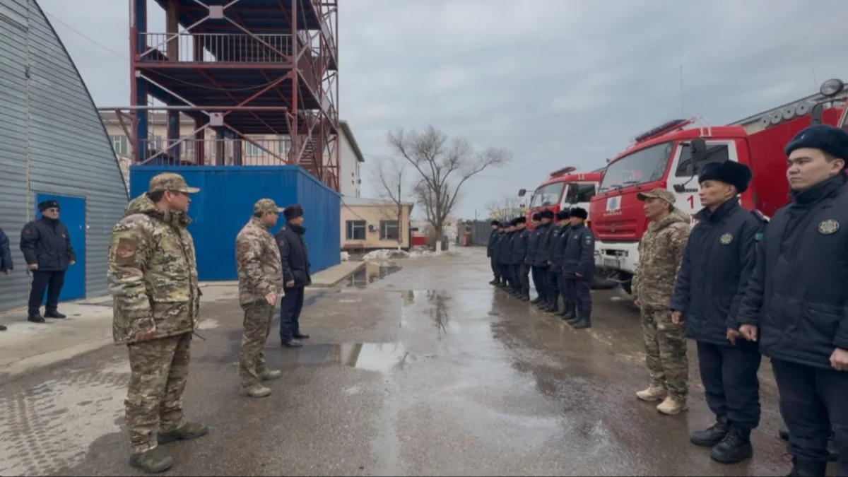 Фото ДЧС МО