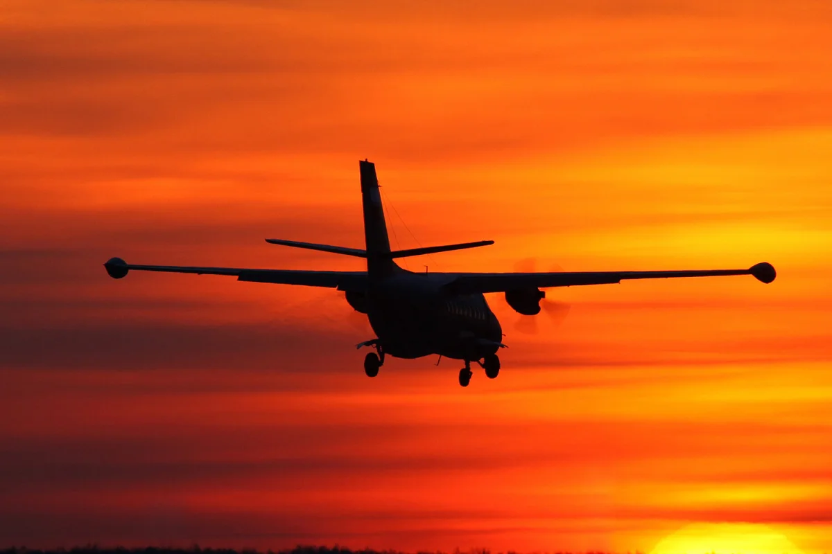 Фото: Fasttailwind/Shutterstock/FOTODOM