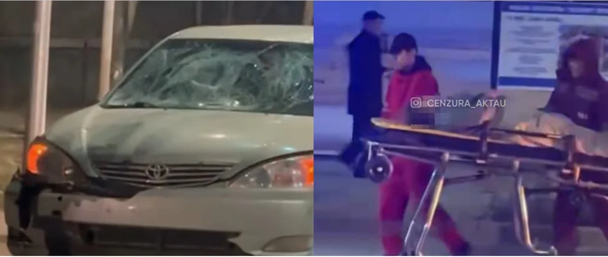 Коллаж автора.  Кадры видео