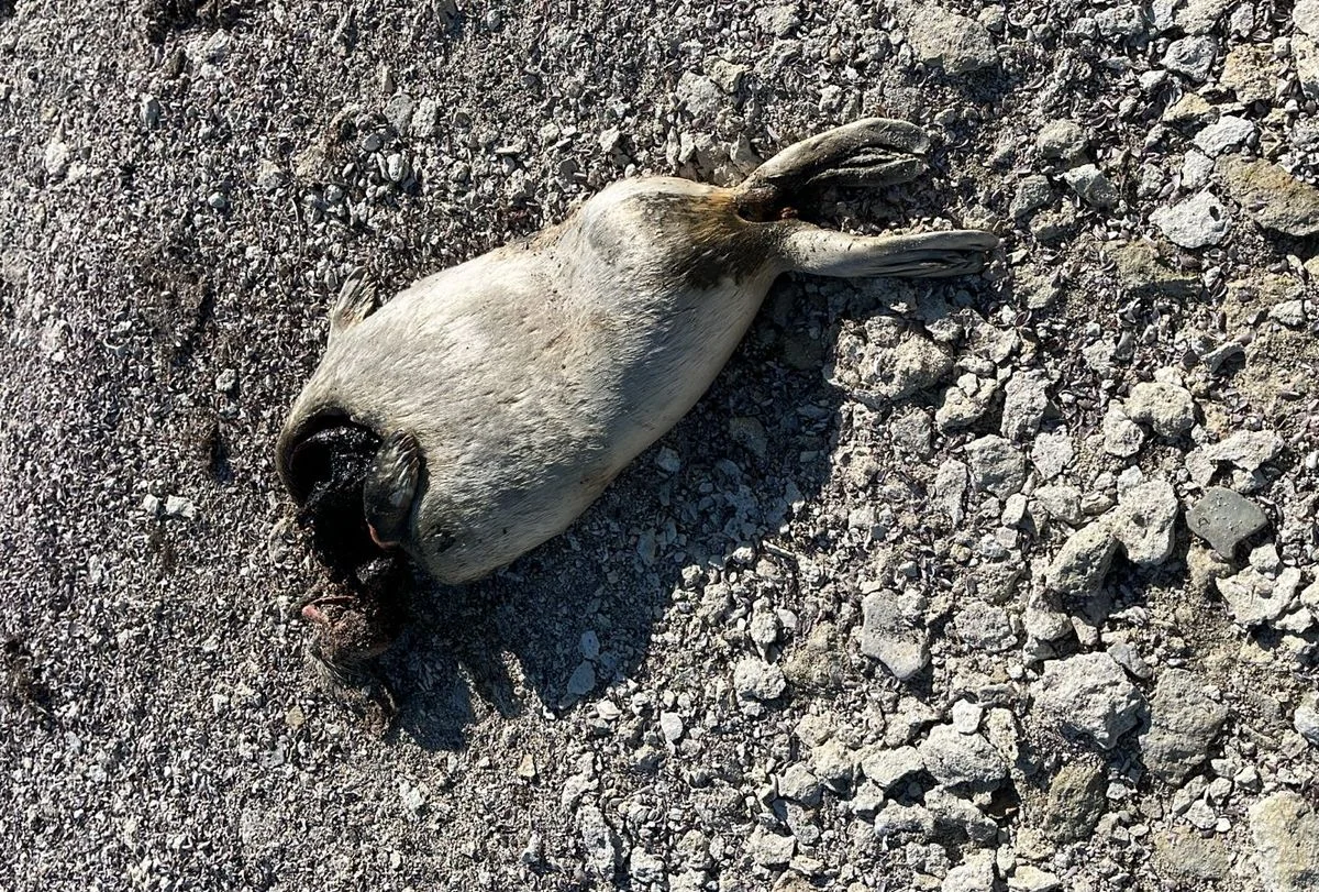 Фото местных жителей