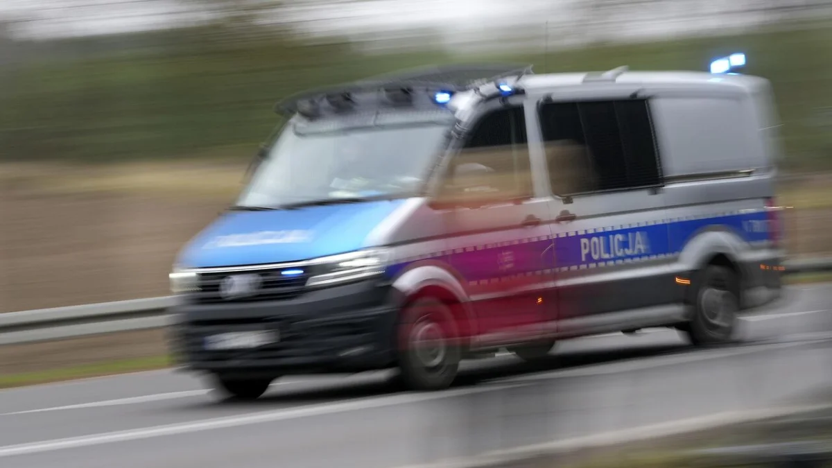 © AP Photo / Matthias Schrader