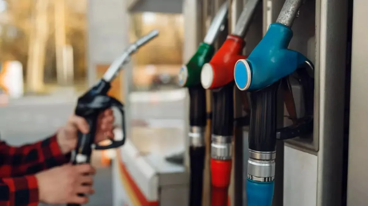 Фото :elements.envato.com