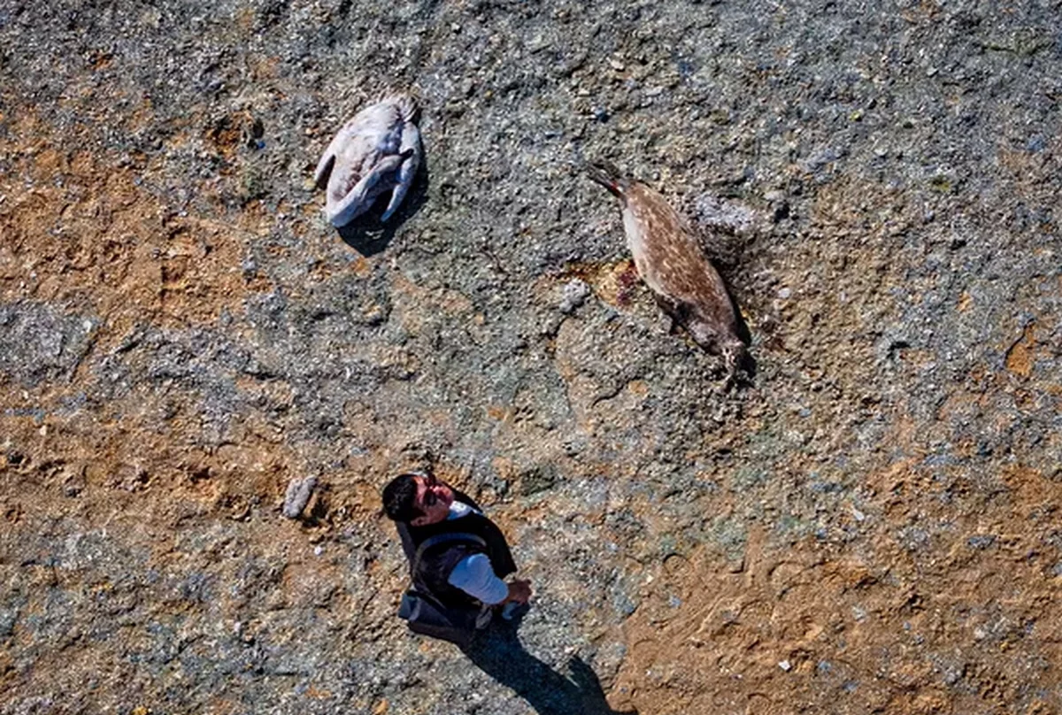 Фото Азамата Сарсенбаева