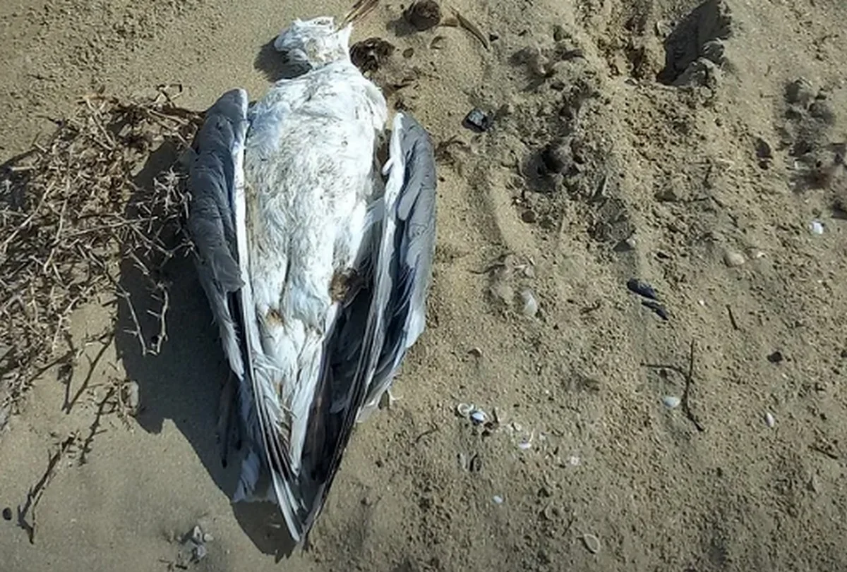 Фото местных жителей