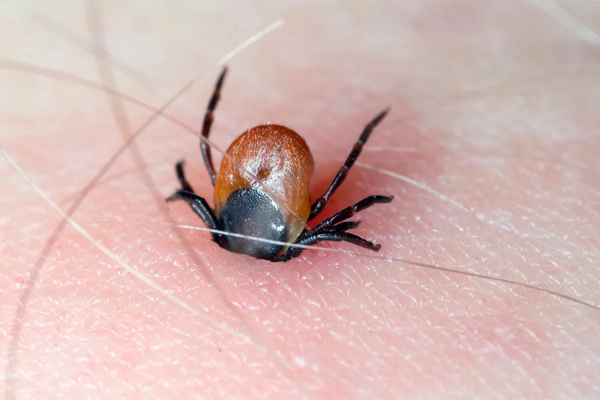 Фото: Shutterstock